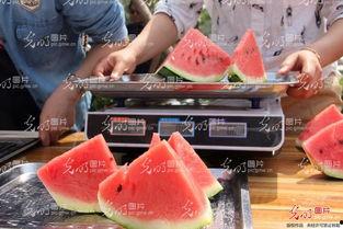 聊城烟店吃瓜,瓜香四溢，品味夏日清凉
