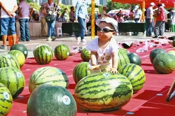 每日吃瓜大赛911,揭秘911背后的惊人真相